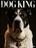 DogKing