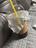 coffee2