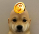 dogwifcoin logo