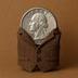 this coin is fully vested logo