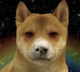 coca inu logo