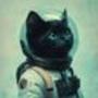 CATDETS