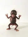 NIGLET