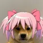 wifu
