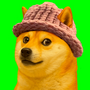 DOGEWIF