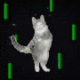 beggy the disco cat logo