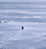 Nietzschean Penguin logo