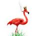 King Flamingo logo