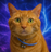TORA