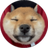 SAN