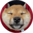 SAN