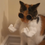 MEOWSCLES
