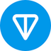 TON logo