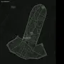 PTM