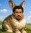 BadBunny