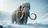 Mammoth
