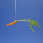 CARROT