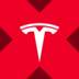 Tesla xStock logo