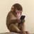 fone