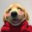 wuf