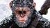 CHIMPOUT logo