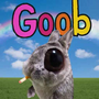Goob