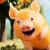 Tangerine Piggy Coin logo