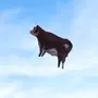 moo-ner