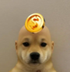 dogwifcoin logo