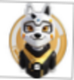 Doge Grok logo