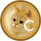 Catcoin logo