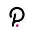 Polkadot Token logo