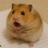HAM