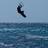 SurfCZ