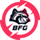 BFG Token logo