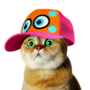 CatWifCap logo