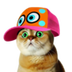 CatWifCap logo