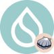 sAfSUI logo