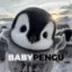 Baby Pengu logo
