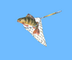 wrapped fish logo