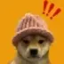 dogwifhat logo