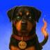 BLAZE the Rottweiler logo