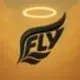 FLY logo