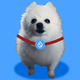 Sui DOG logo