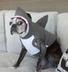 SHARK DOG logo