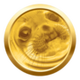 AWKWARD SEAL logo