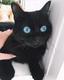 Blue Eyed Cat logo