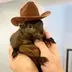 Peanut the Squirrel on SUI logo