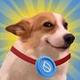 DogSui Meme logo