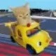 Vroom cat logo